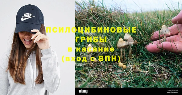 MESCALINE Абинск