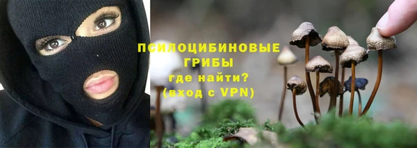 не бодяженный Абаза