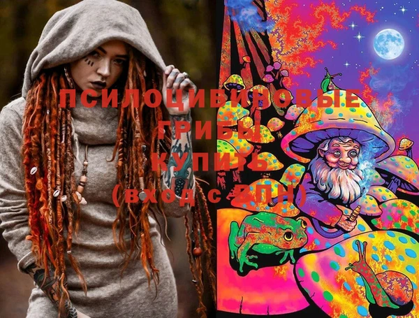 бошки Алексин