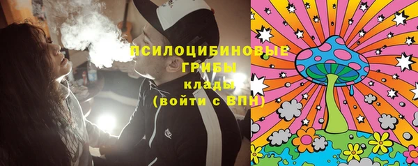 бошки Алексин