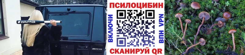 omg   Соликамск  Псилоцибиновые грибы GOLDEN TEACHER 